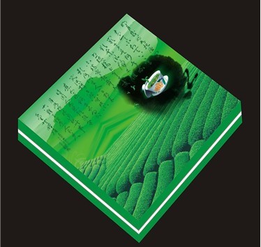 福建印刷行业的领军者 从区域标杆到技术创新